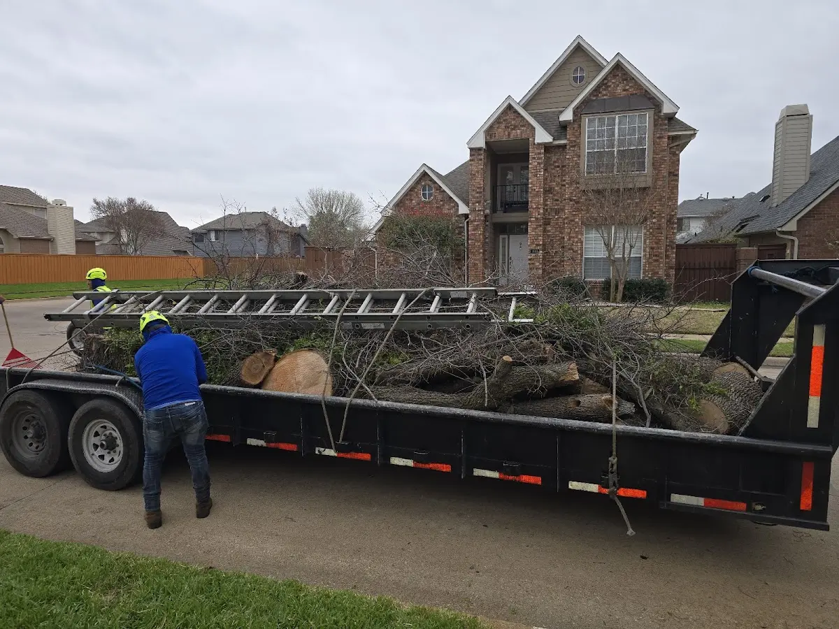 Expert Tree Pest Control with proper safety equipment in Glenhaven